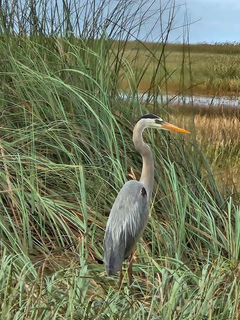 Everglades: boat tour with transportation& entrance included - The return ride and South Beach Art Deco guidance with Versace area stops