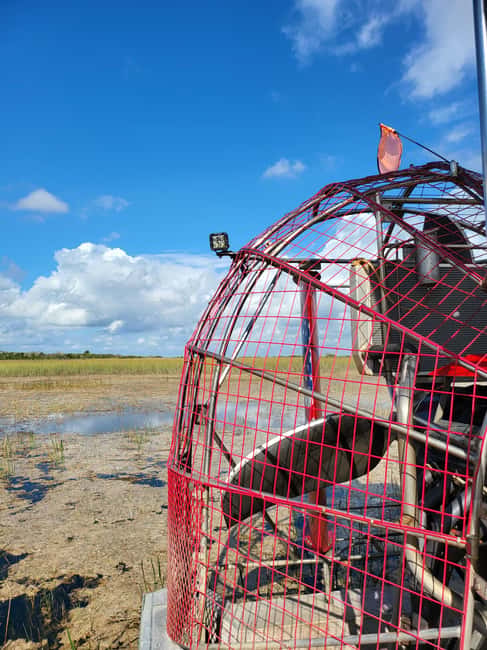 Everglades: boat tour with transportation& entrance included - What to bring for the airboat and wild viewing