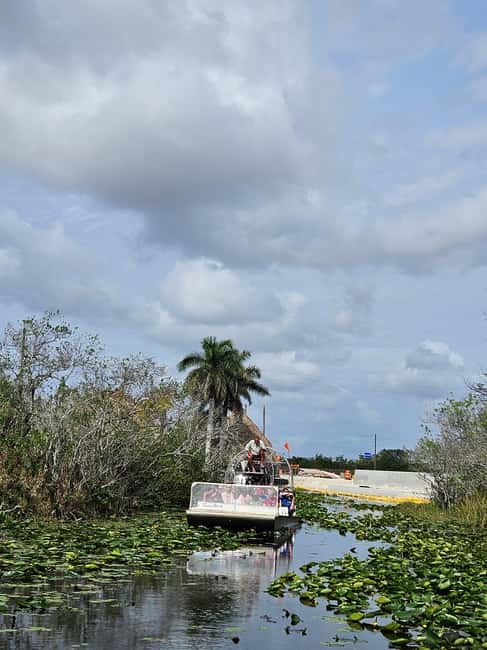 Everglades: boat tour with transportation& entrance included - Who this tour suits best (and who should look elsewhere)