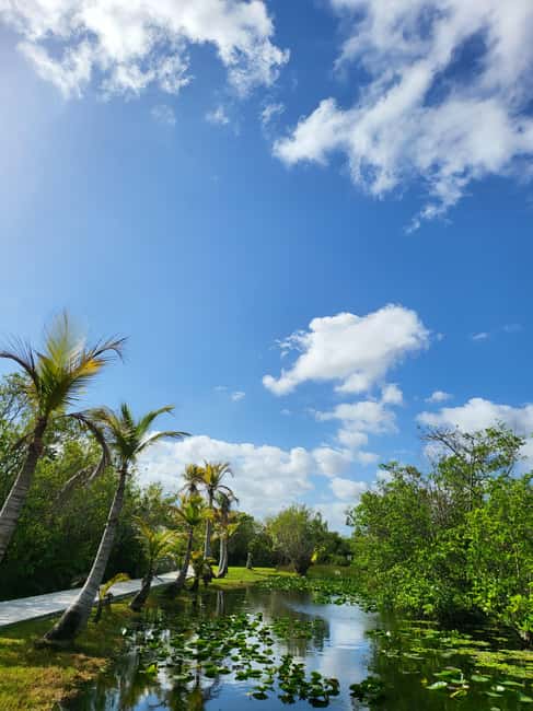 Everglades: boat tour with transportation& entrance included - Airboat ride in Everglades National Park: what you see, how long it lasts, and why it matters