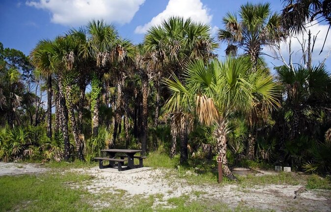 Everglades Day Safari from Miami - Key Highlights You Should Know Before You Go