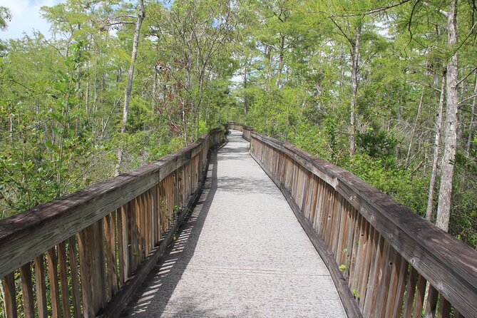Everglades Day Safari from Miami - Smallwood Store Museum in Chokoloskee: Frontier Trading Post Perspective