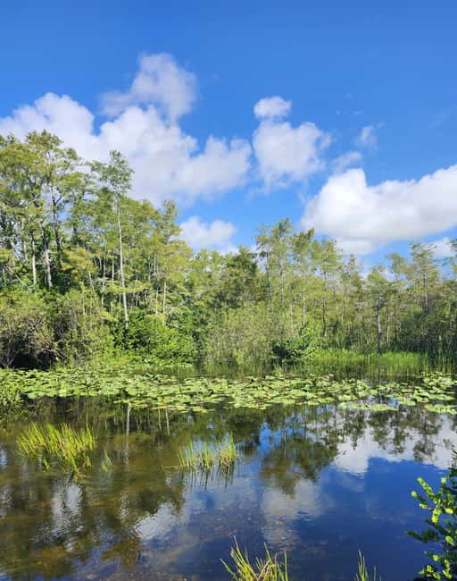 Everglades Eco Airboat Small-Group Tour & 2 Private Islands - Why the small-group Everglades airboat feels different