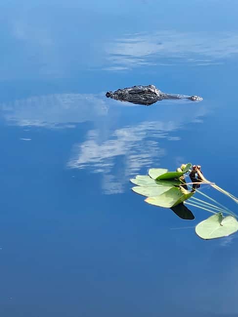 Everglades Eco Airboat Small-Group Tour & 2 Private Islands - Entering the airboat: open-air, elevated seats, and a wildlife-focused captain