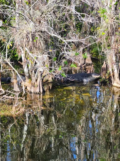 Everglades Eco Airboat Small-Group Tour & 2 Private Islands - Your itinerary, mapped out in plain English (and where the time goes)
