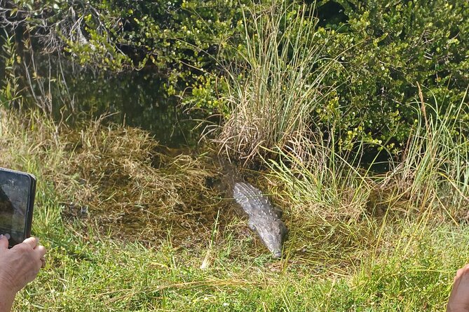 Everglades Eco Airboat Tour-Small Group & 2 Private Islands - Key Highlights You Can Expect