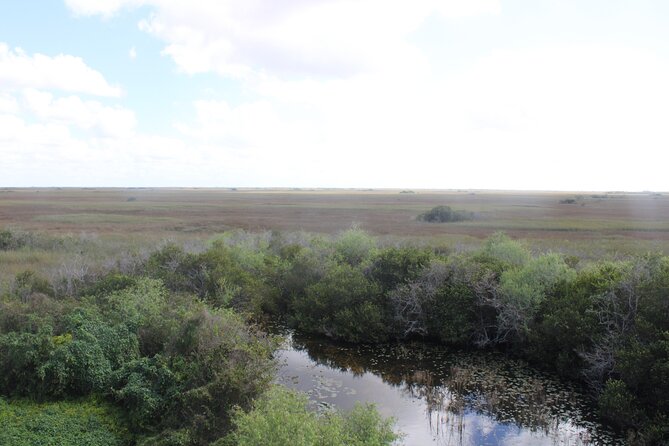 Everglades Eco Airboat Tour-Small Group & 2 Private Islands - Timing, Weather, and What to Bring for an Open-Air Day