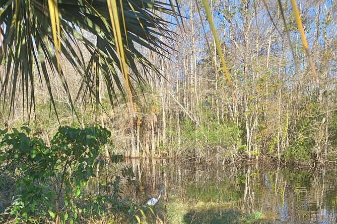 Everglades Eco Airboat Tour-Small Group & 2 Private Islands - Entering Miccosukee Country Without the Big-Park Chaos