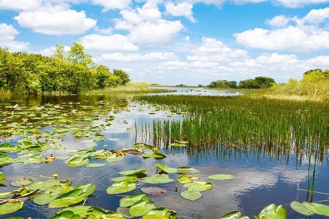 Everglades Express From Miami with Safari Airboat Ride - Price and Value: Is $140.43 a Fair Deal?