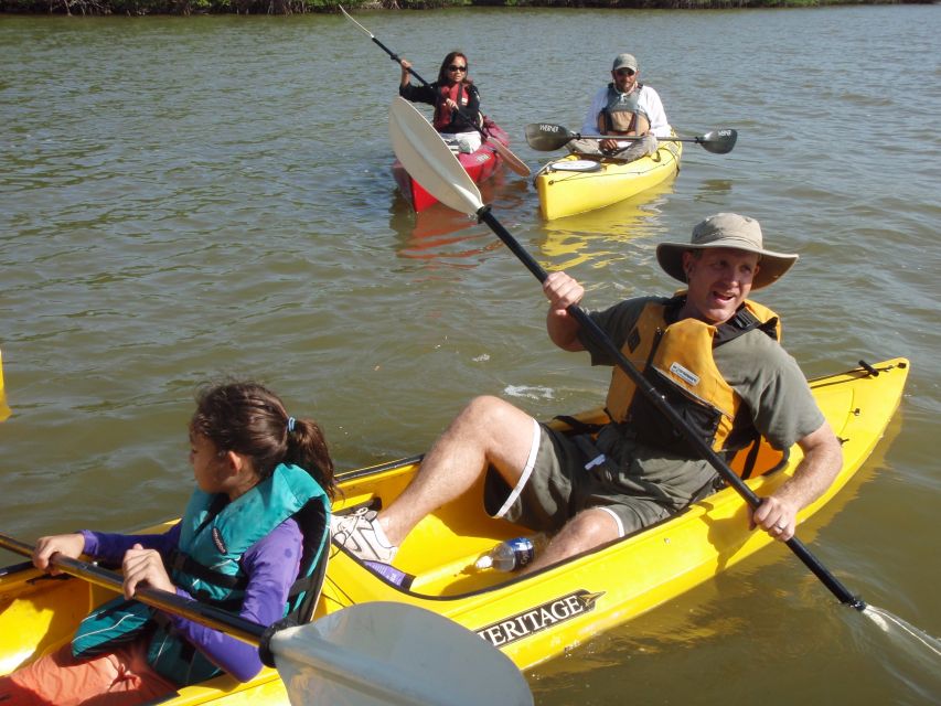 Everglades National Park 3-Hour Kayak Eco Tour - The 3-Hour Structure: Enough Time to Spot Wildlife, Not Enough Time to Burn Out