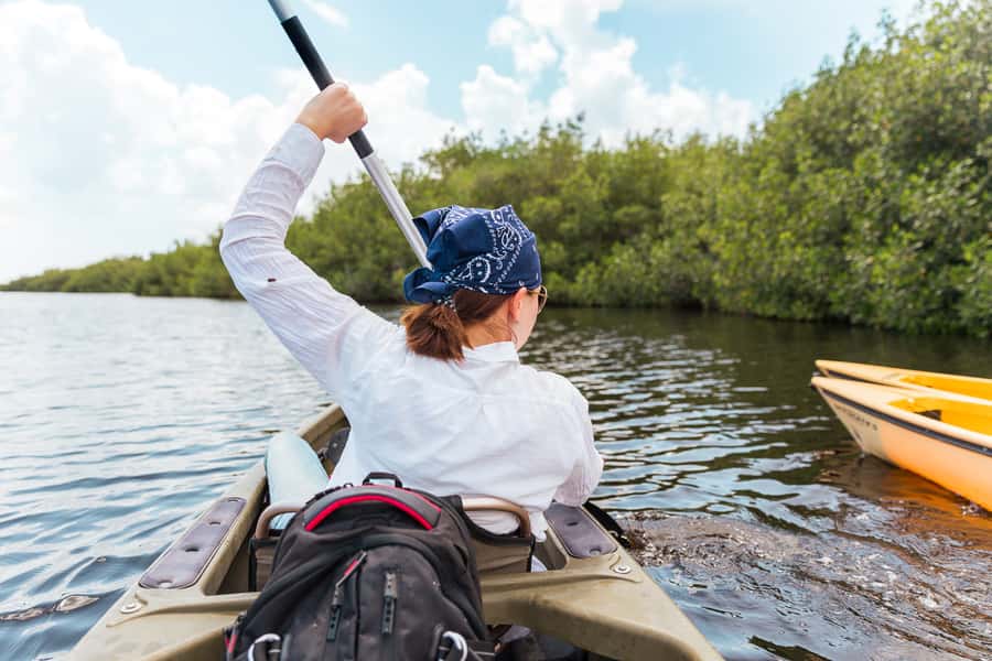 Everglades National Park: Mangrove Tunnel Kayak Eco-Tour - Why the mangrove tunnel paddle feels different from other Everglades tours