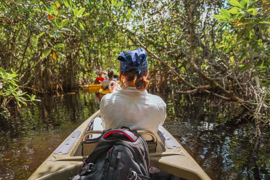 Everglades National Park: Mangrove Tunnel Kayak Eco-Tour - Meeting point on Tamiami Trail E, and how to find the right truck