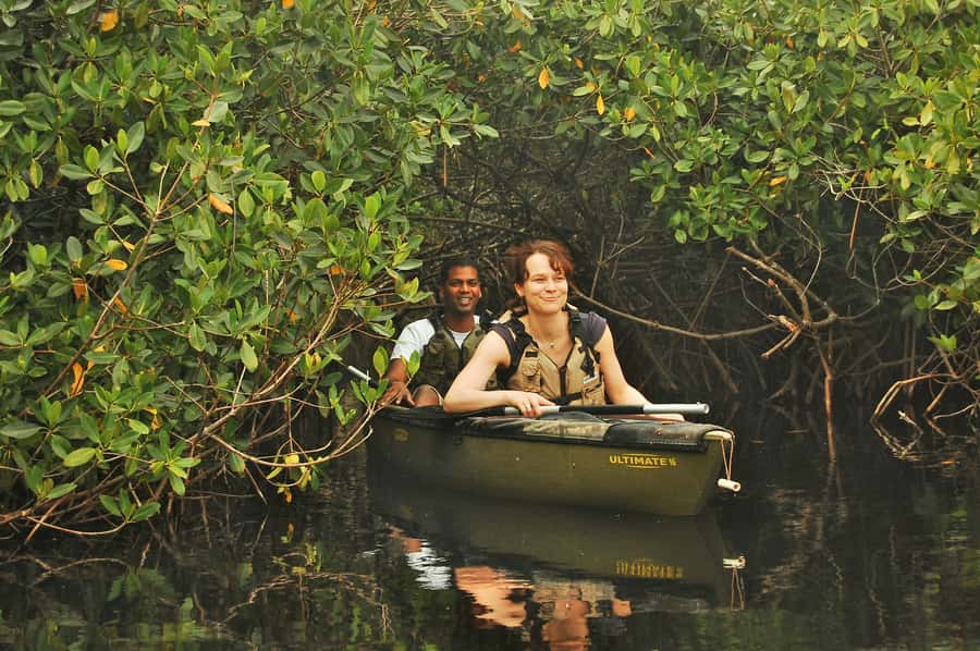 Everglades National Park: Mangrove Tunnel Kayak Eco-Tour - The 3-hour flow on the water, and what each stage is really for