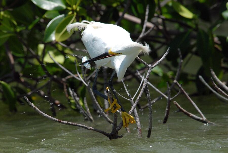 Everglades National Park: Private 2.5-Hour Photo Safari - Practical logistics that affect your experience