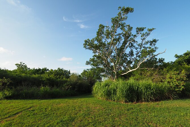 Everglades National Park: Self Guided Driving Audio Tour - Common Friction Points (And How to Avoid Them)