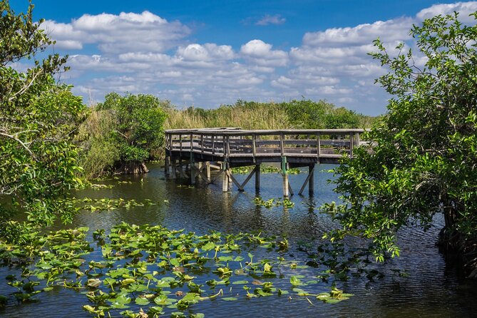 Everglades National Park: Self Guided Driving Audio Tour - Should You Book This Everglades Audio Drive?
