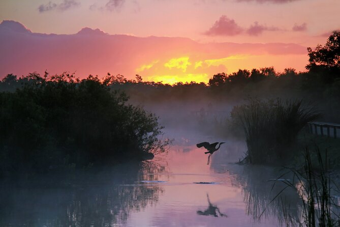 Everglades National Park: Self Guided Driving Audio Tour - How the Audio Tour Actually Works (So You Do Not Waste Time)