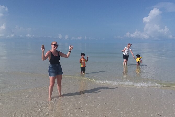 Everglades Small Group Guided Boating and Walking Expedition - Key highlights that make this tour worth your time