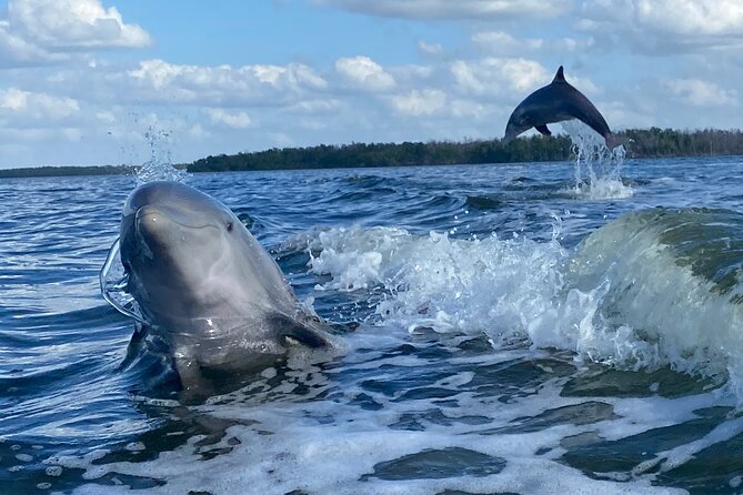 Everglades Small Group Guided Boating and Walking Expedition - What makes the guide experience the real differentiator