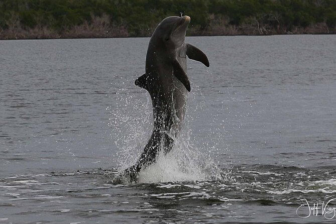 Everglades Small Group Guided Boating and Walking Expedition - Price and value: is $199.95 a fair deal?