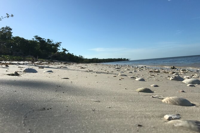 Everglades Small Group Guided Boating and Walking Expedition - Logistics that can affect your comfort
