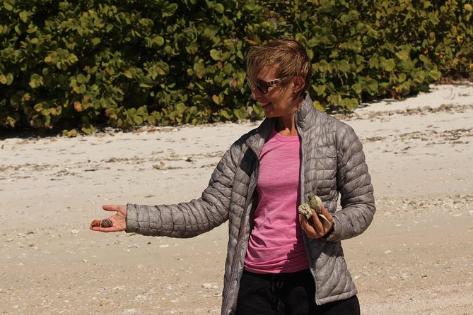 Everglades Small Group Guided Boating & Walking Tour Expedition - The Short Walk and the Intertidal “See It Up Close” Moment
