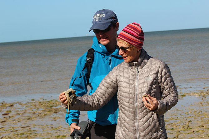 Everglades Small Group Guided Boating & Walking Tour Expedition - A 6-Passenger Powerboat Through the Ten Thousand Islands