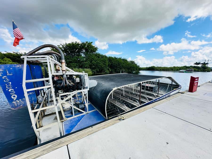 Everglades Small Group on Airboat with Transportation - Everglades airboat time feels better when the group is small