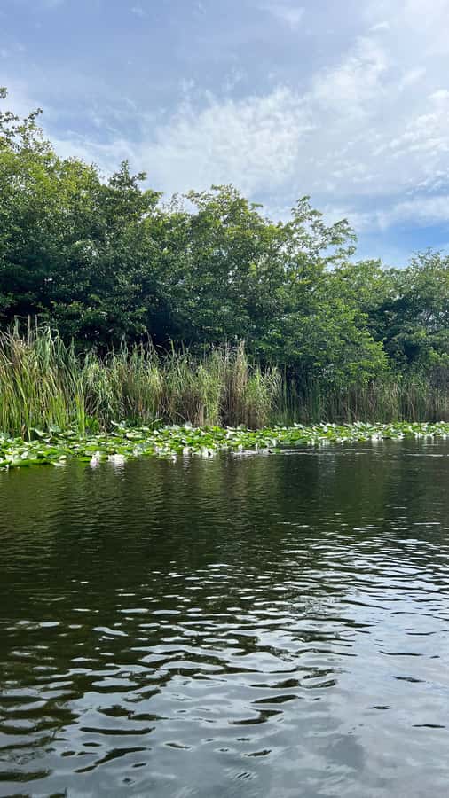 Everglades Small Group on Airboat with Transportation - Sawgrass Recreation Park guided time: learning without losing your day