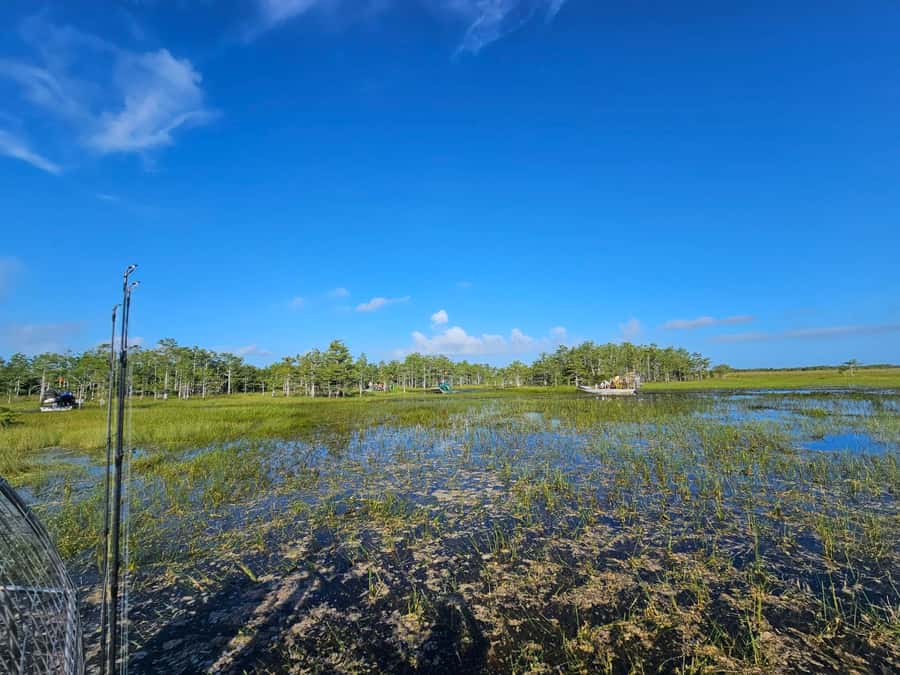 Everglades Small Group on Airboat with Transportation - The airboat ride: why 50 to 60 minutes changes your odds