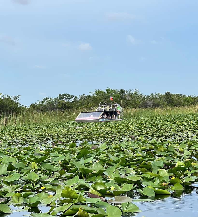 Everglades Small Group on Airboat with Transportation - The gift shop stop and how to plan food, water, and comfort