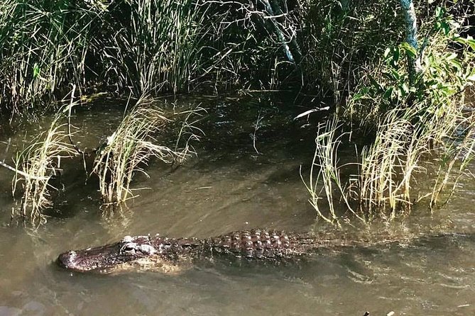 Everglades Small-Group Tour from Miami with Transportation - Everglades Holiday Park, not the national park: why that matters
