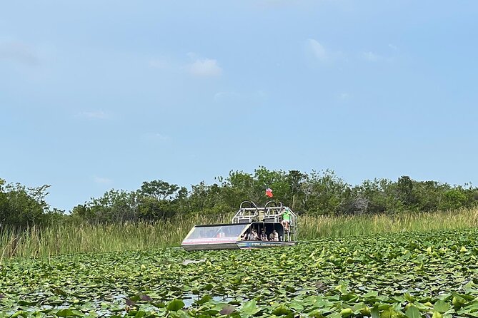 Everglades Small-Group Tour from Miami with Transportation - The 50 to 60 minute narrated airboat ride: how spotting works