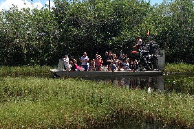 Everglades Small-Group Tour from Miami with Transportation - Rescued alligators and the education show: why the add-on feels worthwhile