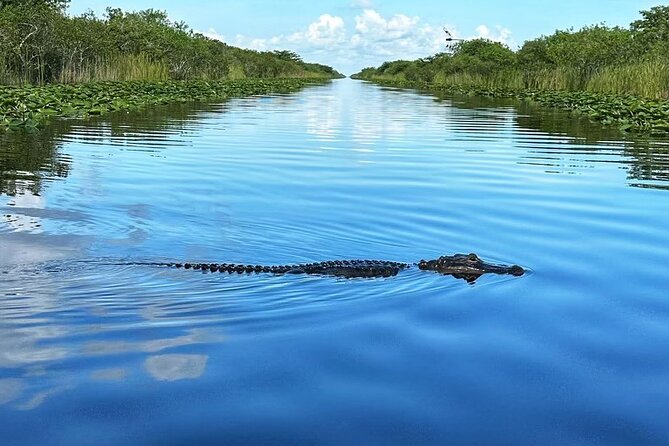 Everglades Small-Group Tour from Miami with Transportation - What to bring (and what to wear) for an airboat half-day