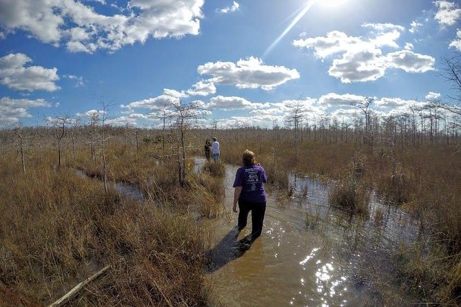 Everglades Tour w/ Biologist Led WET walk + 2 Boat Trips + Lunch! - Big Cypress swamp walk: water shoes, walking sticks, and cypress canopy