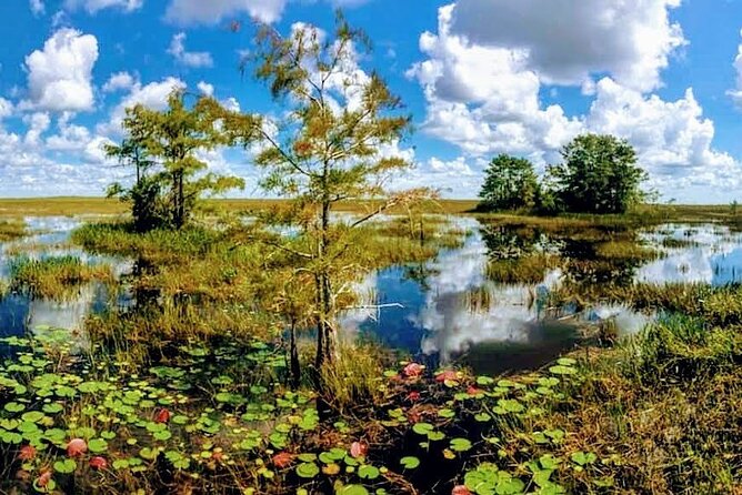 Everglades Tour w/ Biologist Led WET walk + 2 Boat Trips + Lunch! - Everglades City lunch and the small-town stops that add heart