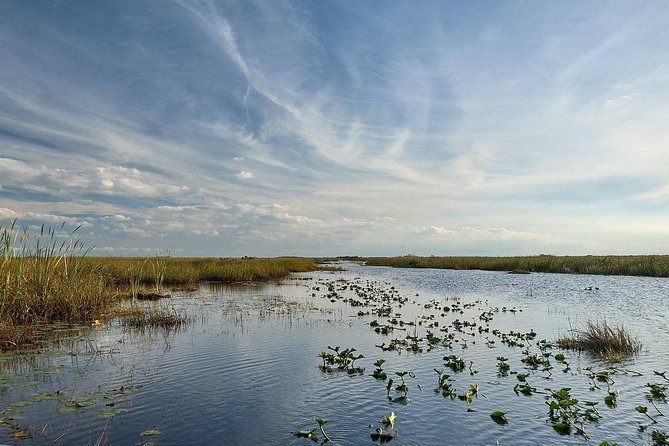 Everglades Tour w/ Biologist Led WET walk + 2 Boat Trips + Lunch! - Chokoloskee: the 10,000 Islands boat trip and wildlife moments on the water