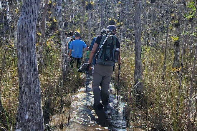 Everglades Tour w/ Biologist Led WET walk + 2 Boat Trips + Lunch! - What’s included, and what you should bring to feel comfortable all day