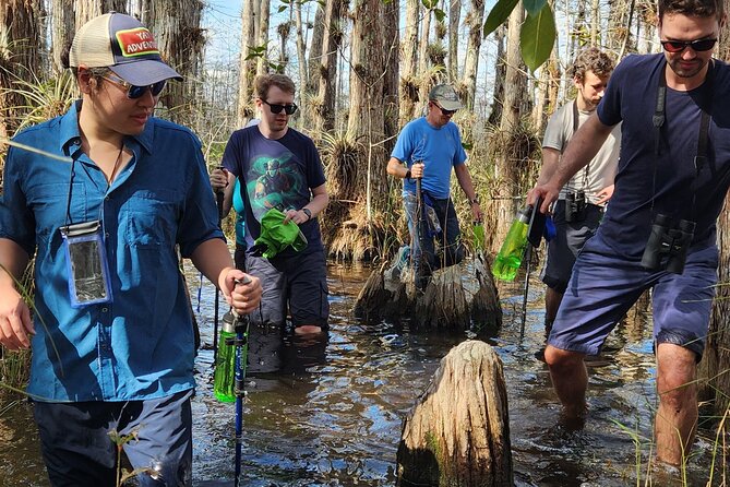 Everglades Tour w/ Biologist Led WET walk + 2 Boat Trips + Lunch! - River of Grass cruising logic, then Loop Road for big gators
