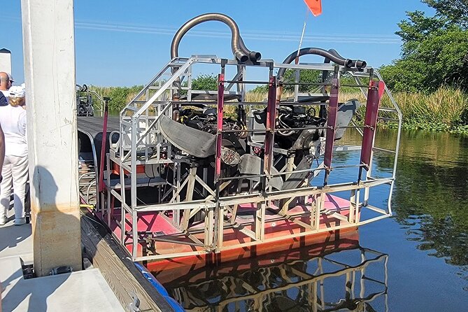 Everglades Tour with professional Tourguide inclusive pickup - Timing, rain, and what to bring so the day stays fun
