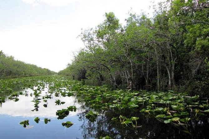 Everglades Wildlife Tour: Airboat & Alligator Habitat Experience - Price Breakdown: $65 Ticket Value Plus the $35 Day-Of Fee