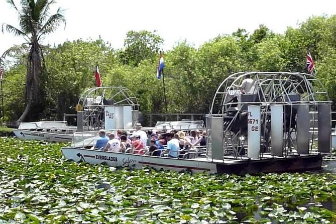Everglades Wildlife Tour: Airboat & Alligator Habitat Experience - Should You Book This Everglades Wildlife Tour?