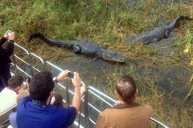 Everglades Wildlife Tour: Airboat & Alligator Habitat Experience - FAQ