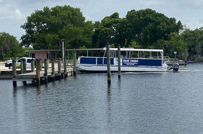 Flamingo Everglades Boat Tours - Weather and wildlife unpredictability: plan like a smart minimalist