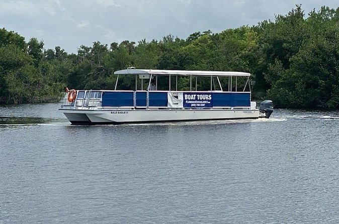 Flamingo Everglades Boat Tours - Should you book Flamingo Everglades Boat Tours?
