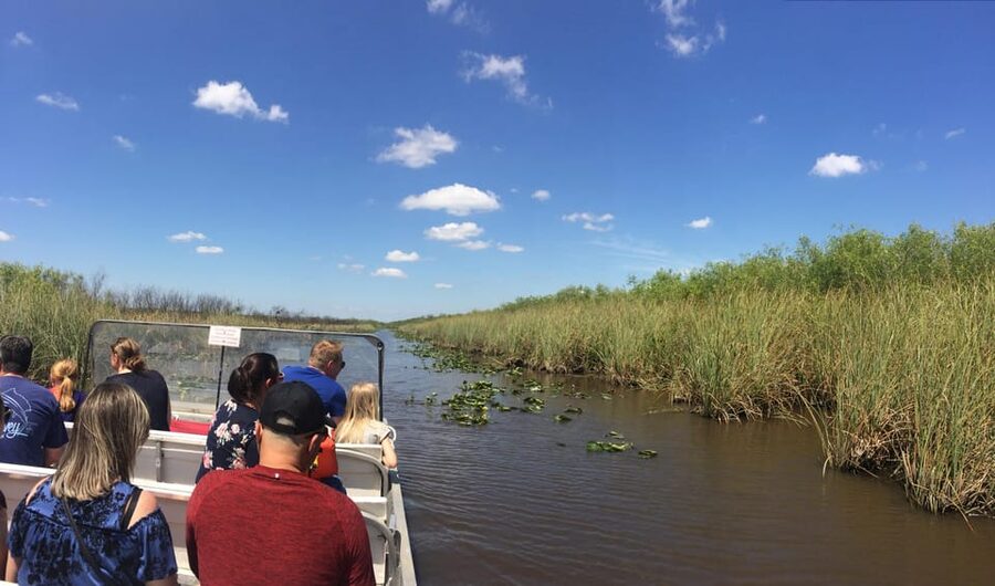 From Miami Beach: Everglades Airboat & Gator Spotting Tour - Who this tour is best for, and who should skip it