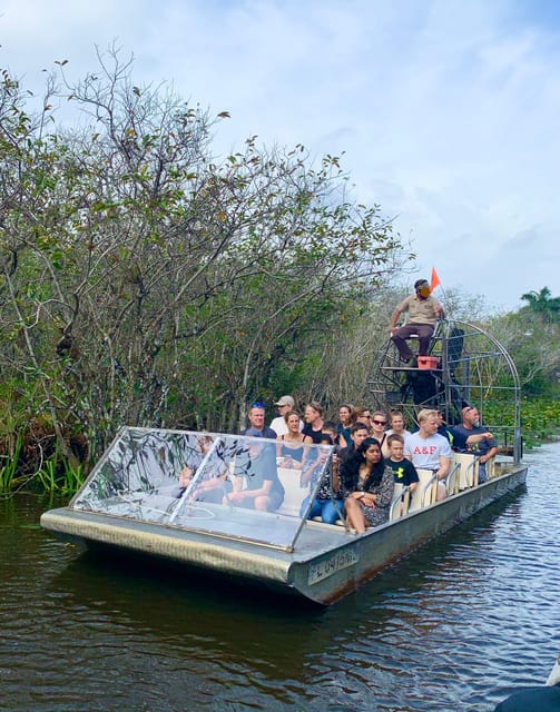 From Miami Beach: Everglades Airboat & Gator Spotting Tour - Alligator spotting in the wild: what to expect and how to raise your odds