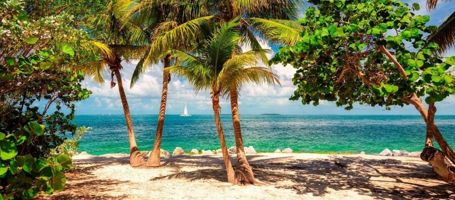 From Miami - Enchanting Key West Tour in a Small Group. - Duval Street Time, the Shortcut to Key West Vibe