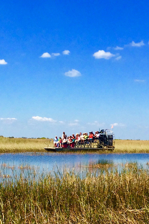 From Miami: Everglades Airboat Alligator Tour with Transfer - Key highlights that make this Everglades tour worth it